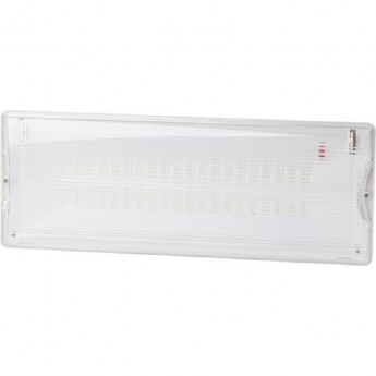 Аварийный светильник светодиодный ЭРА DPA-301-0-65 непостоянный 40LED 3ч IP65 Аварийный светильник светодиодный ЭРА DPA-301-0-65 непостоянный 40LED 3ч IP65