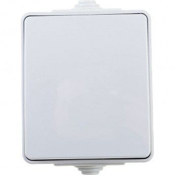 Переключатель ЭРА ЭКСПЕРТ IP65 10АХ-250В ОУ серый